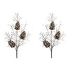 Iced Pinecone Twig Branch – 31"H Decorative Frosted Winter Branches (Set of 2) Acrylic Holiday Sprays by Melrose - 3 of 3