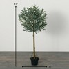 Sullivans Artificial Olive Tree 41"H; Green - 4 of 4