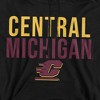 Central Michigan University Official Stacked Adult Pull-Over Hoodie - 2 of 4