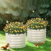 Aoodor 16.7'' Tall Aluzinc Metal Raised Garden Bed 24'' Round - Outdoor Garden Planter Box - 2 of 4