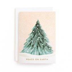 10ct Minted Snowy Pine Tree Holiday Boxed Cards