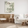 Stupell Industries Traditional Dogwood & Bird, 48" x 36" - 2 of 4