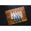 Dura Culina® Eco-Cut Collection Steak Knife Set - 4 of 4
