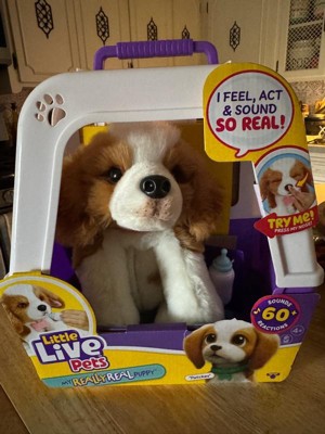 Little live pets dog target best sale