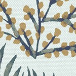 pistachio botanical