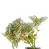 Unique Bargains Artificial Plants Ceramic Pot 2.01"x2.01"x5.51" 1 Pc - 4 of 4
