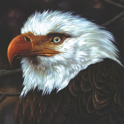 Mogwai - The Hawk Is Howling (Vinyl)