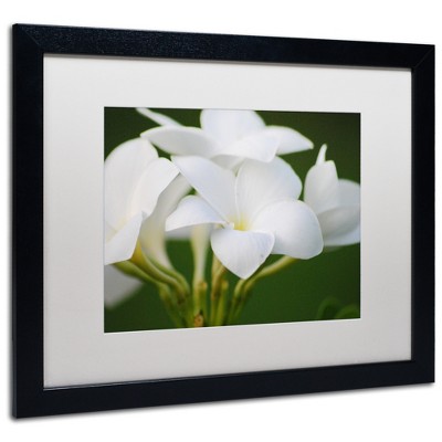Trademark Fine Art - Monica Mize 'Picture Perfect' Matted Framed Art
