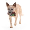 BARK Afraid of the Bark Halloween W & W's Candy Food Shaped Plush Dog Toy - 3 of 4
