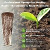 Ahopegarden 120pcs Hydroponic Pods Kit: Compatible with AeroGarden Herb Kits with 120 Grow Sponges; 120 Pods Lable, Highly Breathable Indoor Garden - 3 of 4