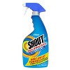 Shout Advanced Action Gel Stain Remover Refill, Stain Remover & Softener