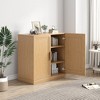 MAYEERTY Freestanding Storage Cabinet Wooden Decorative Cabinets for Home, Office, Small Space, Brown, 31*31*16in - 2 of 4