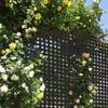 DSVIMOY Privacy Screens and Panels, Freestanding Outdoor Indoor Privacy Screen, Rhombus-Shaped Decorative Privacy Screen, Black, 48.31"*15.75"*70.75" - 4 of 4
