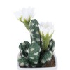 Unique Bargains Artificial Plants Multi-Head Cactus Plastic 3.03"x3.03"x6.30" 1 Pcs - 4 of 4