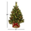 3ft Pre-Lit Pine Cone Christmas Tree with LED Lights, Flocked Artificial Pine in Burlap Base for Tabletop - 4 of 4