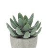 Unique Bargains Artificial Plants Flocked Snow Lotus in Mini Pulp Plastic Green 3.94"x3.94"x4.13" 1 Pcs - 4 of 4