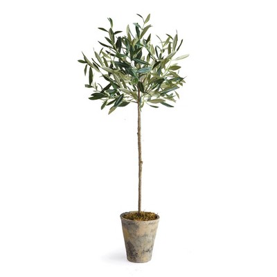 Plum & Post Olive Tree Potted 30"