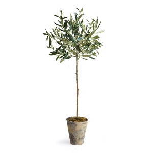 Plum & Post Olive Tree Potted 30" - 1 of 3