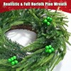 24 Inch Real Norfolk Pine Wreath with Lights for Front Door Winter Decor Outdoor Indoor Xmas Wreath Large Green - 4 of 4