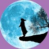 Girl's Design By Humans Moon Bunny By Maryedenoa T-Shirt - 2 of 3