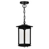 CWI Lighting,Oakwood 1 Light Outdoor Black Pendant - 3 of 4
