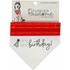 Pavilion Gift Company - It's My Birthday - 7" x 5" Canvas Slip on Pet Bandana - Pet Toy - 4 of 4