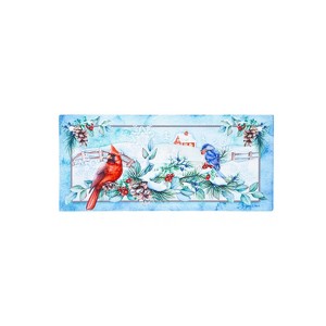 Evergreen Snow Country Birds Sassafras Indoor Outdoor Switch Doormat 1'10"x10" Multicolored - 1 of 4