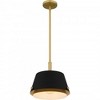 Quoizel Lighting 1 - Light Pendant in  Matte Black - 4 of 4