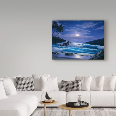 Anthony Casay Coastal Moonlit Ocean Scene Canvas Art, 18'' x 24''