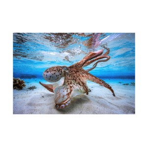 Trademark Fine Art -Barathieu Gabriel 'Dancing Octopus' Canvas Art - 1 of 4