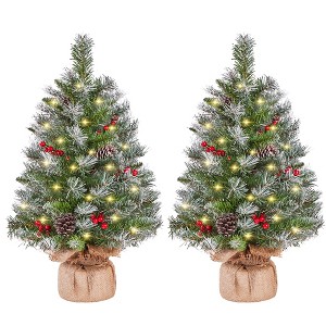 Yaheetech 2Ft/3Ft Set of 2 Frosted Tabletop Christmas Tree with LED Lights, Green - 1 of 4