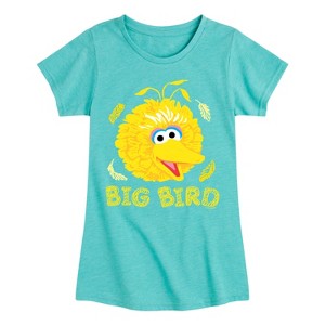 Girls' - Sesame Street - Big Bird Face Fitted Short Sleeve Graphic T-Shirt - 1 of 4
