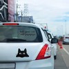 TruAIR Peeking Sneaky Cat Vinyl Car Sticker - 4 of 4