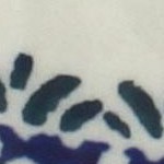 blue daisy