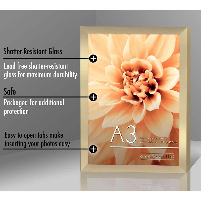 Americanflat Poster Frame with plexiglass - Available in a variety of sizes and styles, 4 of 5