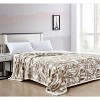 Noble House Alaska Fields Faux Fur Super Warm and Cozy Blanket - 2 of 3