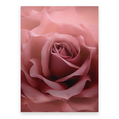 Cora Niele 'Misty Rose Pink Rose' Floating Brushed Aluminum Art