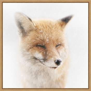 16" x 16" Satisfied Fox by Doris Reindl Framed Canvas Wall Art - Amanti Art