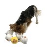 Midlee Snowball Fight Plush Dog Toy - 3" - 2 of 4