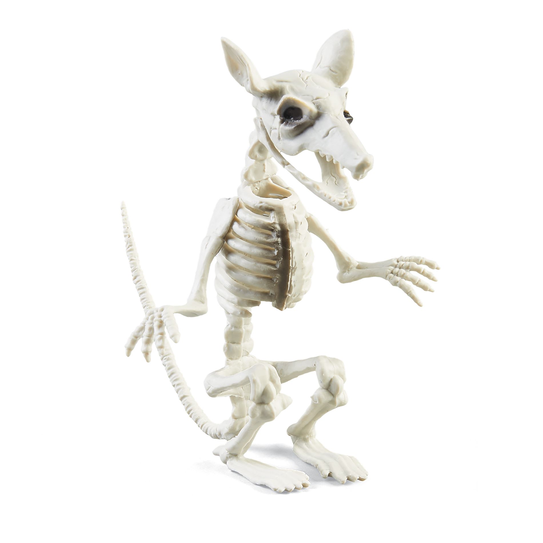 Collections Etc Rat Skeleton Halloween Decoration with Adjustable Mouth