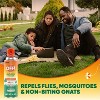 OFF! Backyard Pretreat Outdoor Mosquito Repellent Fogger - 16oz - 2 of 4