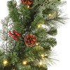 Haute Decor 6' Prelit Classic Garland - 3 of 4