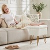 TUYOHW 16" Storage Ottoman,Faux Fur Vanity Stools with 4 Metal Legs & Anti-Slip Adjustable Feet,Ottoman for Living Room,Entryway - 2 of 4