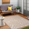 Hauteloom Diza Tan Outdoor Rug - 3 of 4