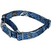 Country Brook Petz Martingale Dog Collar - Paisley Collection - 3 of 4