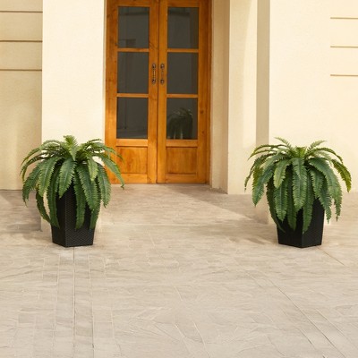 DR.Planzen Artificial Fern Plant in 15.7"/16'' Plastic Planter (3 Colors) - Faux Indoor/Outdoor Floor Plants Tall House Plant (Set of 2)