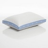 Sealy Jumbo 2pk Extra Firm Maintains Shape Pillow - 2 of 4