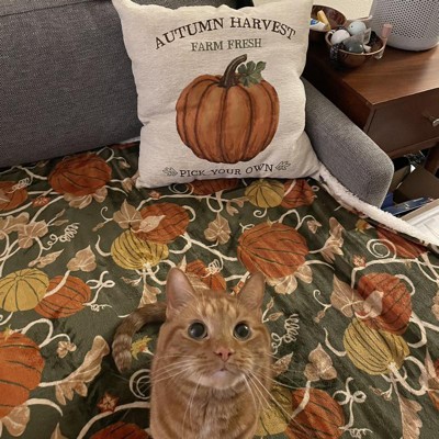 Target pumpkin blanket hot sale