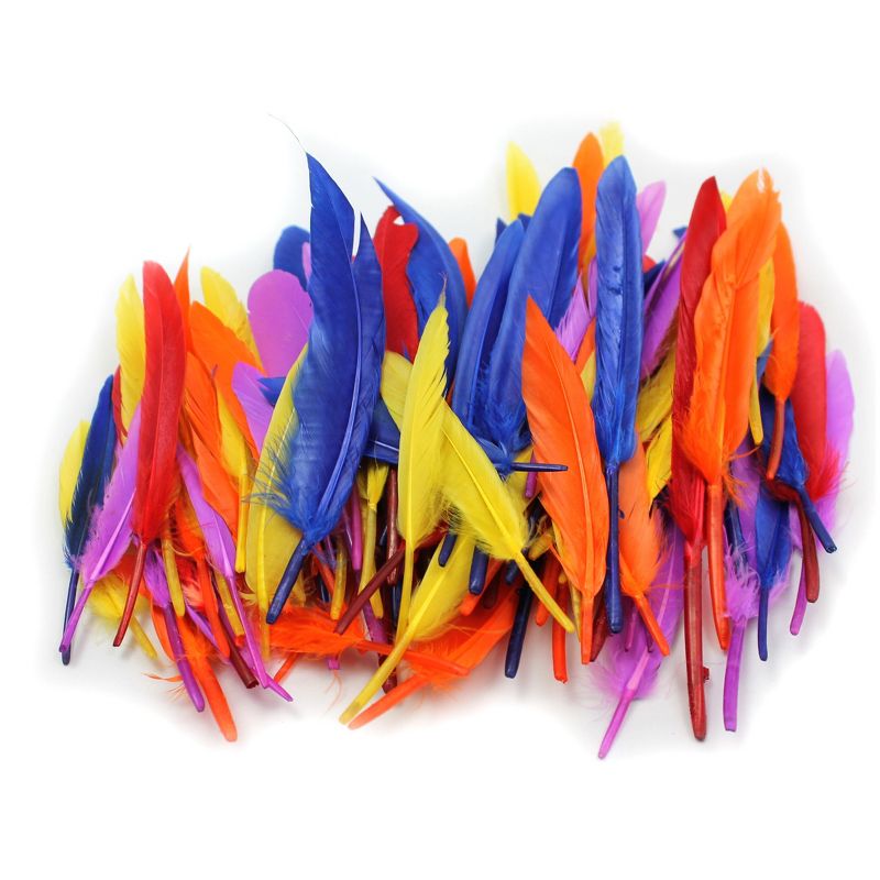 Charles Leonard Duck Quills Feathers, 14 Grams Per Bag, 6 Bags, 2 of 3