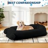 A Dog Bed Suitable for You and Your Pet, Featuring A Semi-Enclosed Plush Design for Naps, an Adorable Double-Ear Style, and Comes with A Pillow - 3 of 4